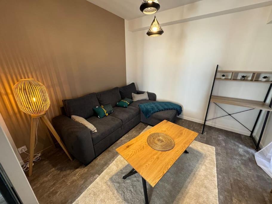 Appartement Cosy Et Lumineux Dans Village Medieval Boulieu-les-Annonay Екстериор снимка